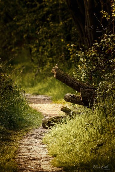 Malerweg - Deutschlands schönster Wanderweg