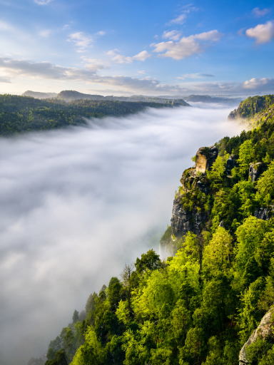 Bastei am Morgen Blick nach Stadt Wehlen